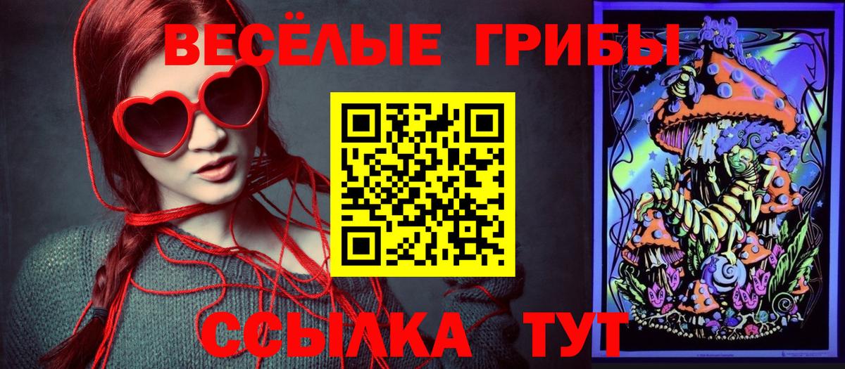 Клин  Галлюциногенные грибы GOLDEN TEACHER  Вход с VPN 